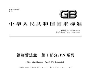 钢制管法兰 第1部分：PN 系列